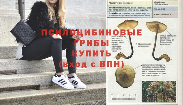 герыч Абдулино