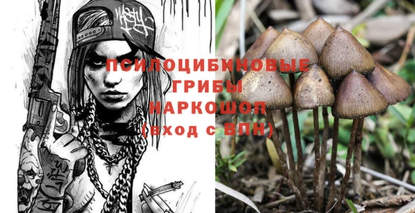 каннабис Алексеевка