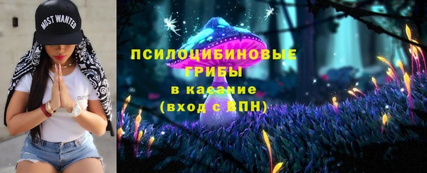 гидропоника Абаза