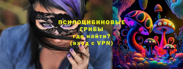 гидропоника Абаза